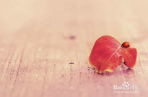 爱上了比大10岁的离婚女人该怎么办?