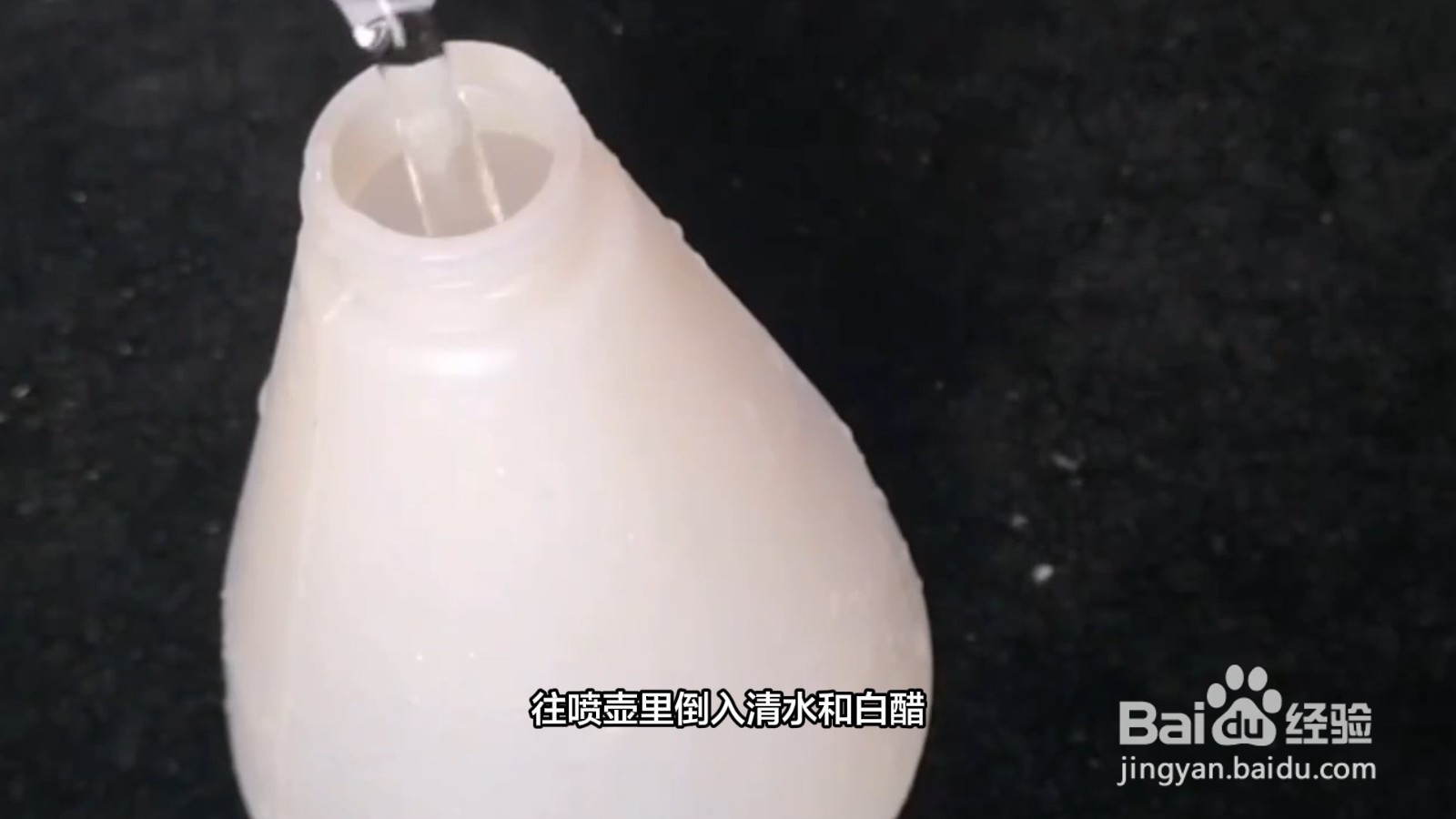 土豆如何保存不发芽不变绿