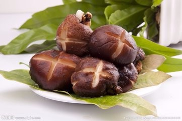 宝宝肠胃不好这些食物最养肠胃!