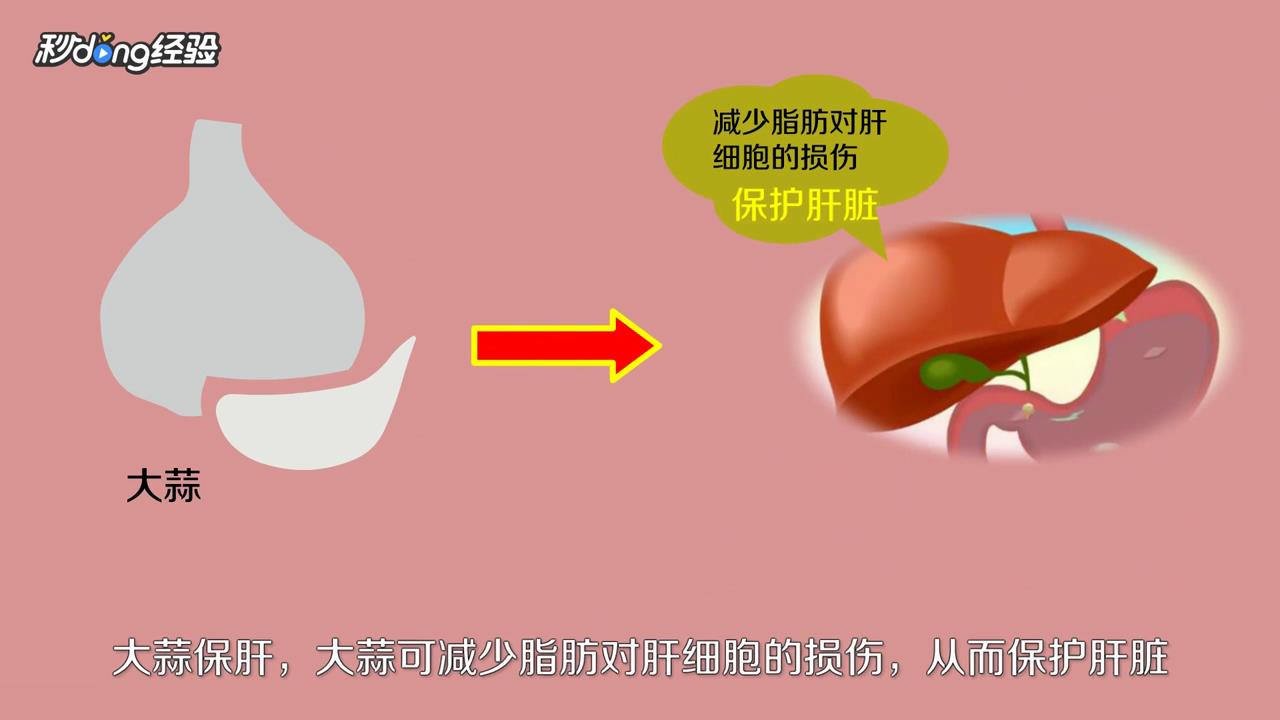 保护肝脏的最佳方法是什么？