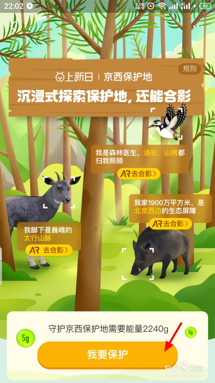 蚂蚁森林如何申请保护京西保护地