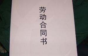 劳动合同范本2013怎么写