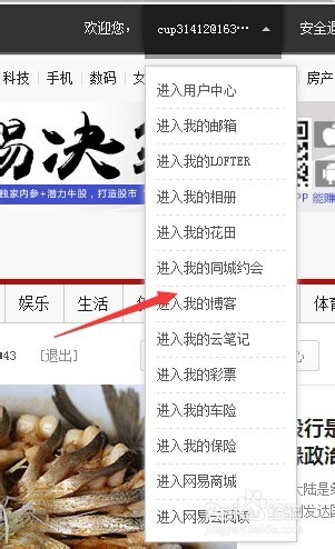 怎么装扮网易博客能放营销推广东西