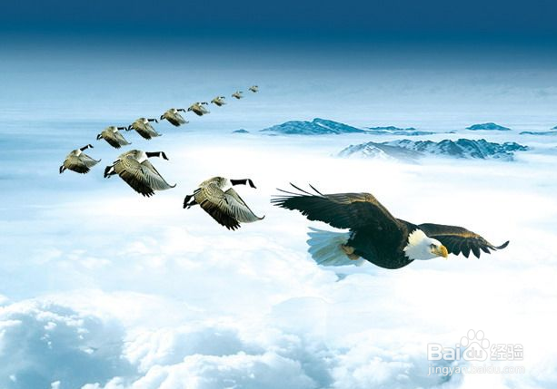 2018年该如何提高自己的领导力??