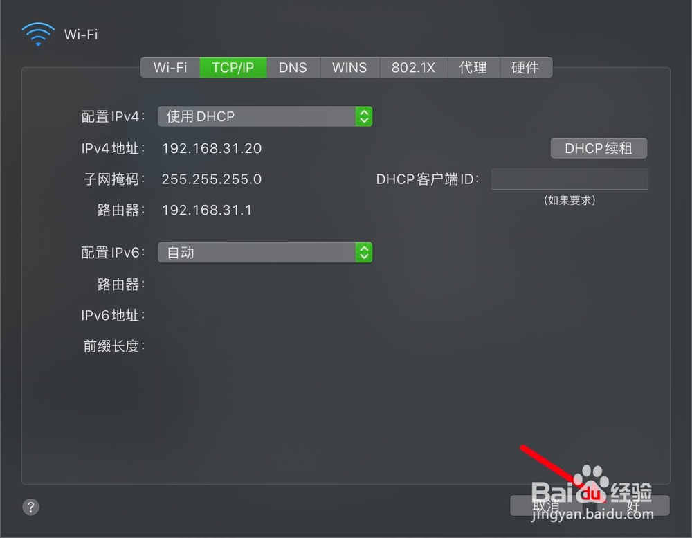 苹果电脑怎么自动获取IP
