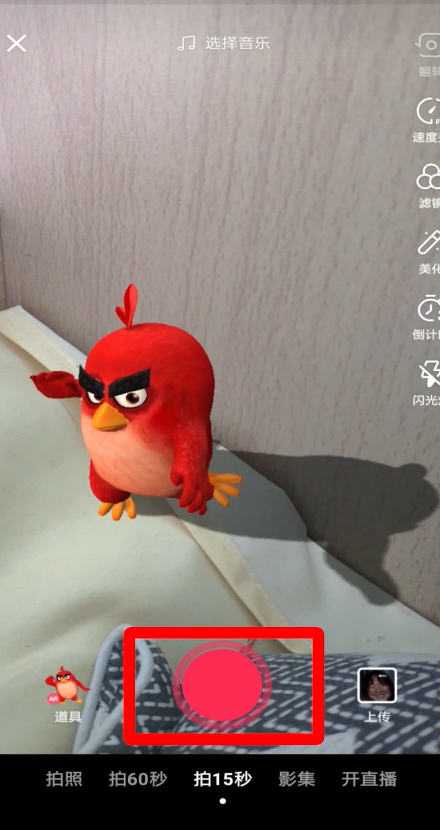 抖音AR小鸟怎么拍摄