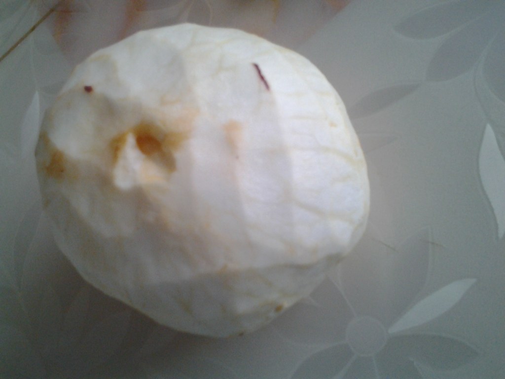 西红柿炒茄子的做法真的很简单，我教你吧！