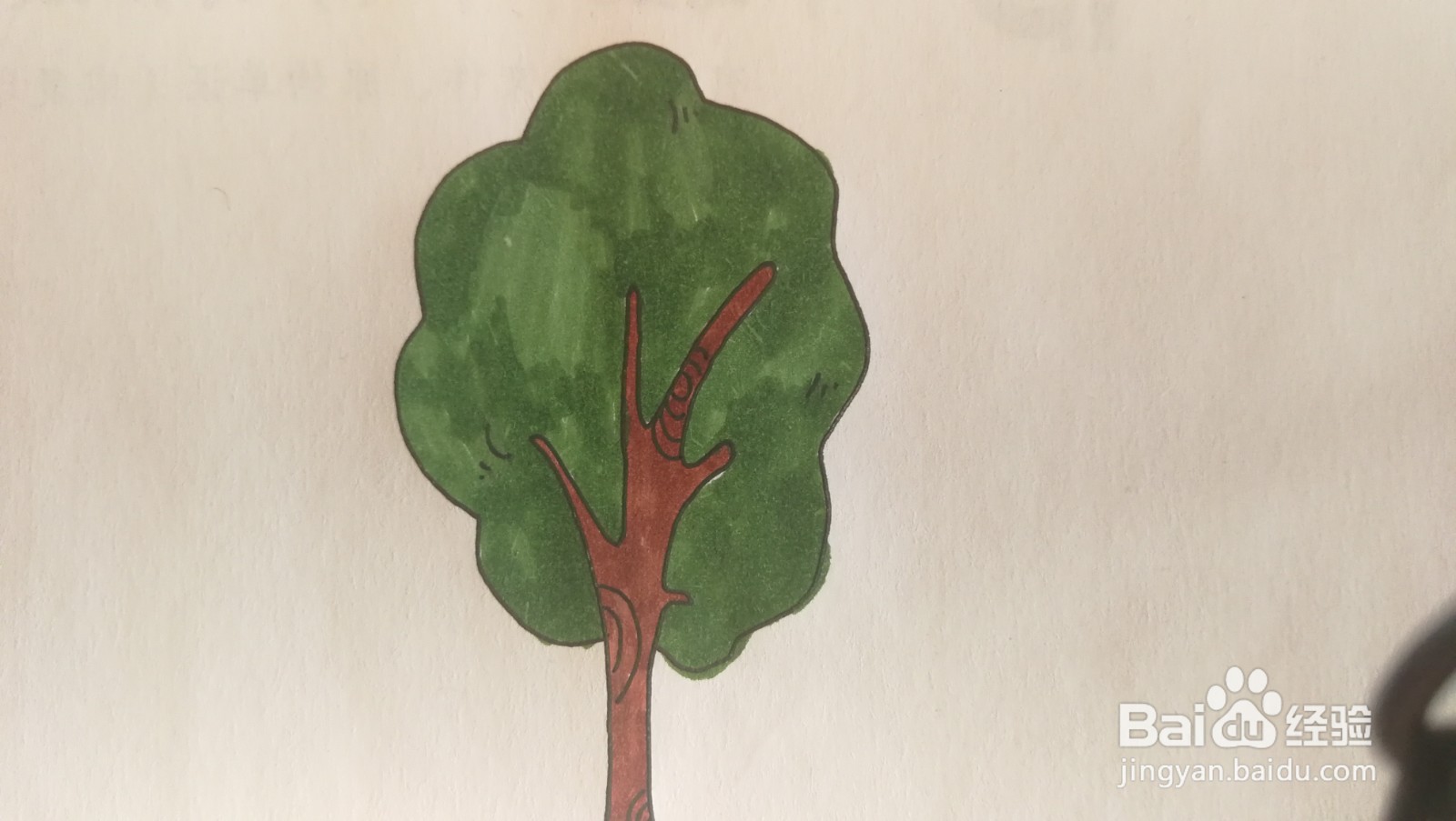 #经验分享官#大树简笔画