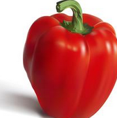 盛夏肥美时节——双椒拌螺丁