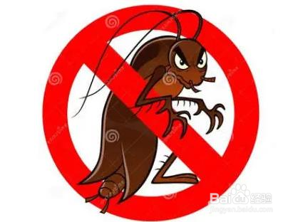 如何快速消灭蟑螂？