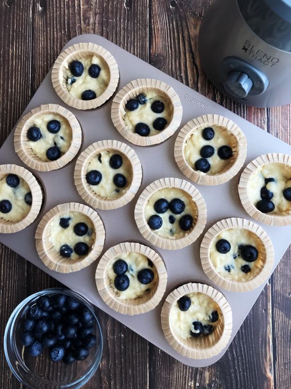 金宝顶蓝莓玛芬