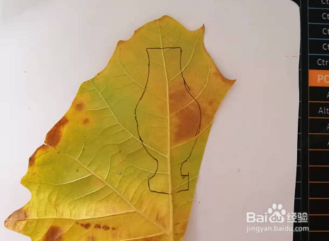 幼儿手工秋叶粘贴画-花瓶