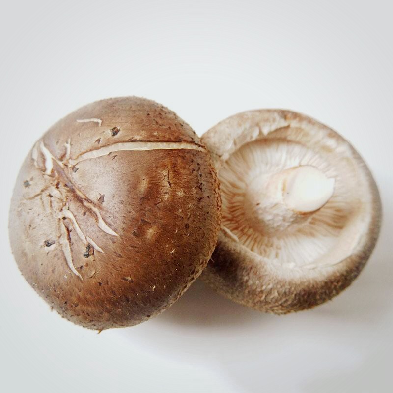 教你做香喷喷的香菇肉酿，味道美极了