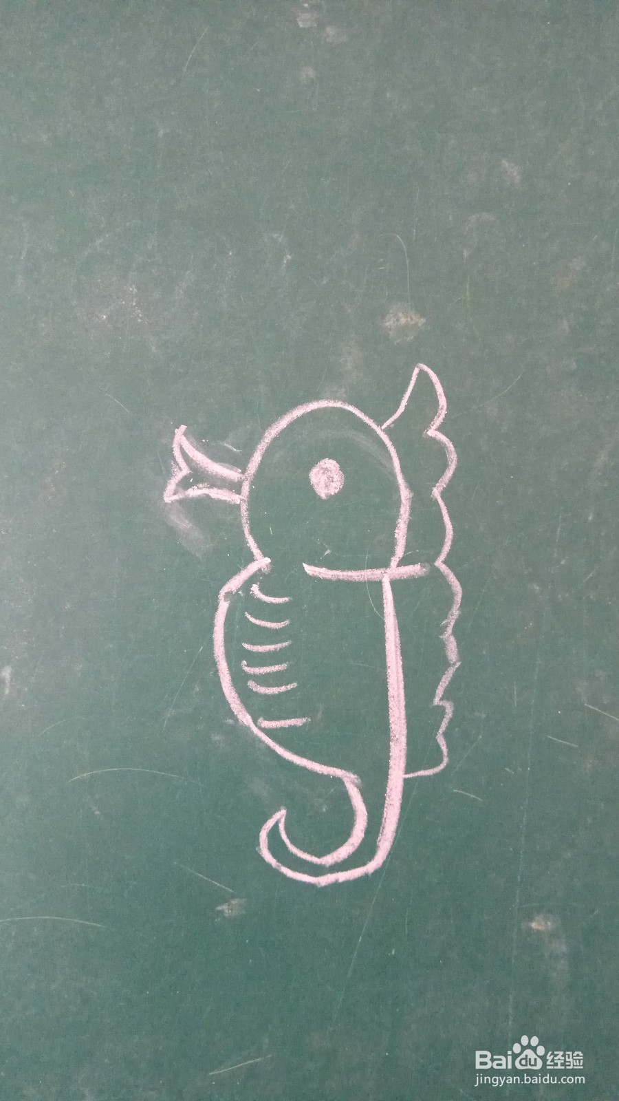 儿童简笔画可爱海马的画法