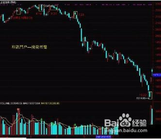 股票交易量怎么看