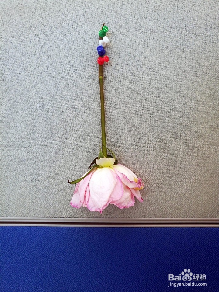 如何在办公室制作干花