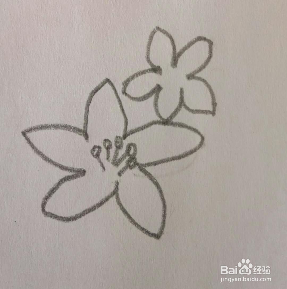 儿童简笔画花画法3