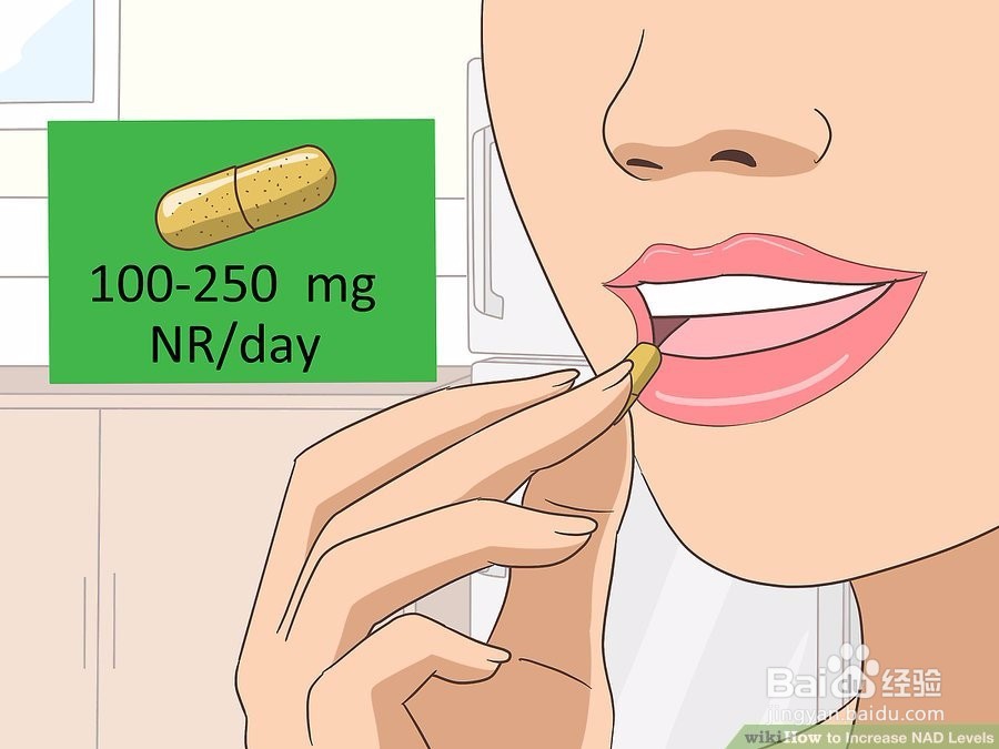 如何提高NAD水平