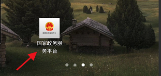 国家政务服务平台如何查询社保卡服务渠道