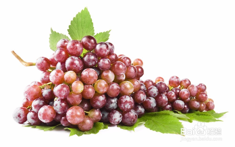 葡萄酒酿造方法小技巧