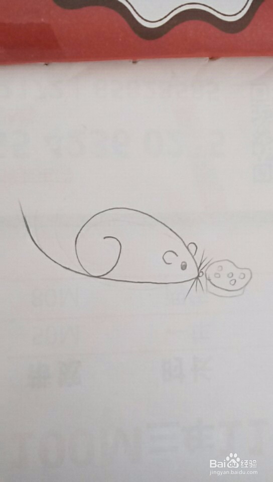 多妈简笔画最简单的老鼠画法