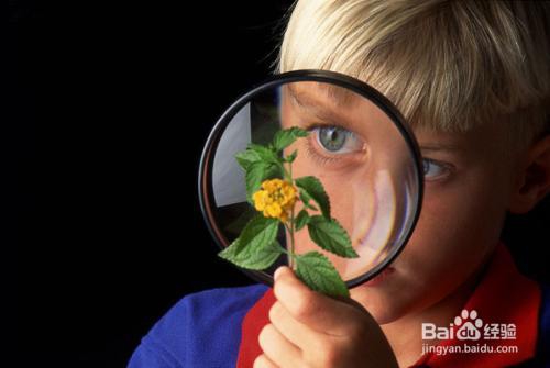 怎样才能提高观察力