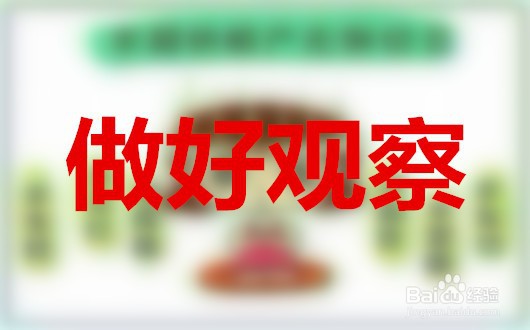 快到预产期了还没反应怎么办？