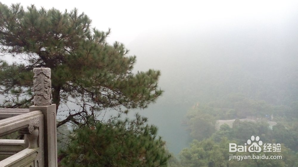 肇庆鼎湖山游记