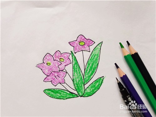 儿童简笔画——如何一笔一笔画出桔梗花？