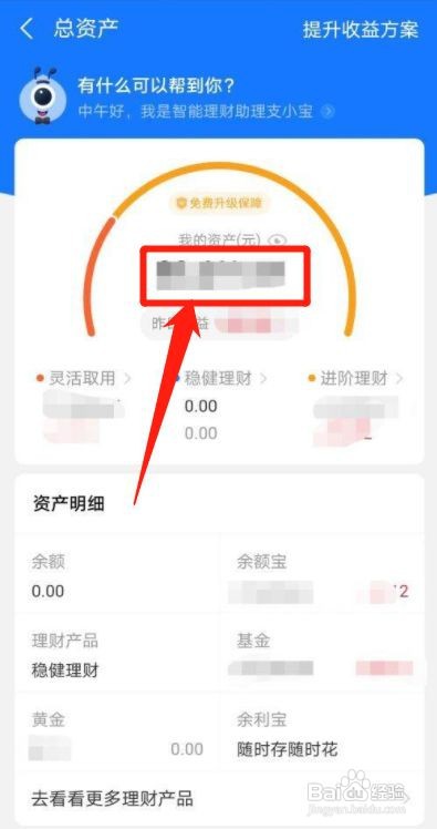 支付宝怎么查看总资产