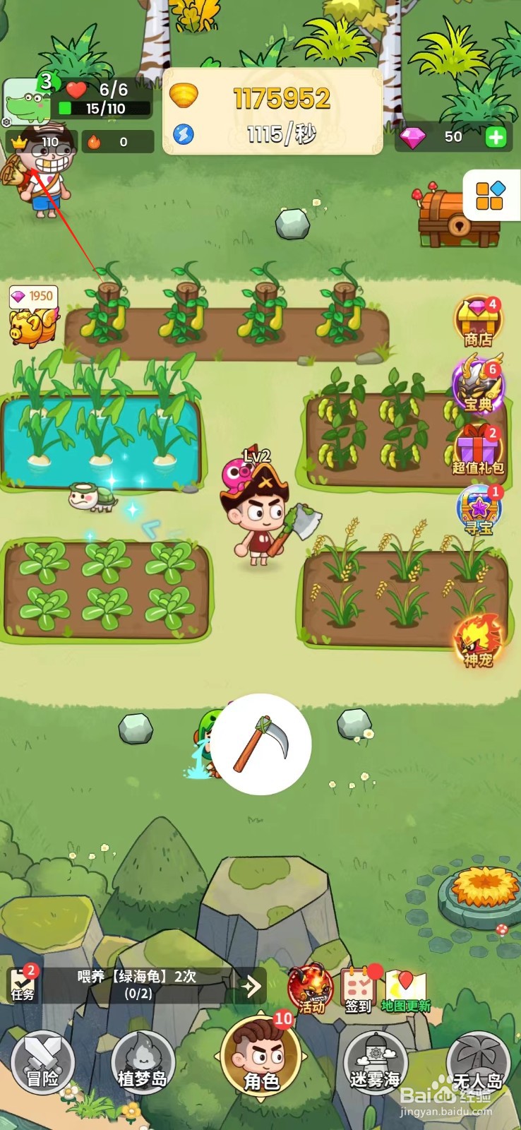 史小坑的花前月下如何喂养绿海龟