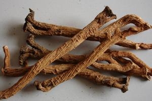 板蓝根的食疗功效