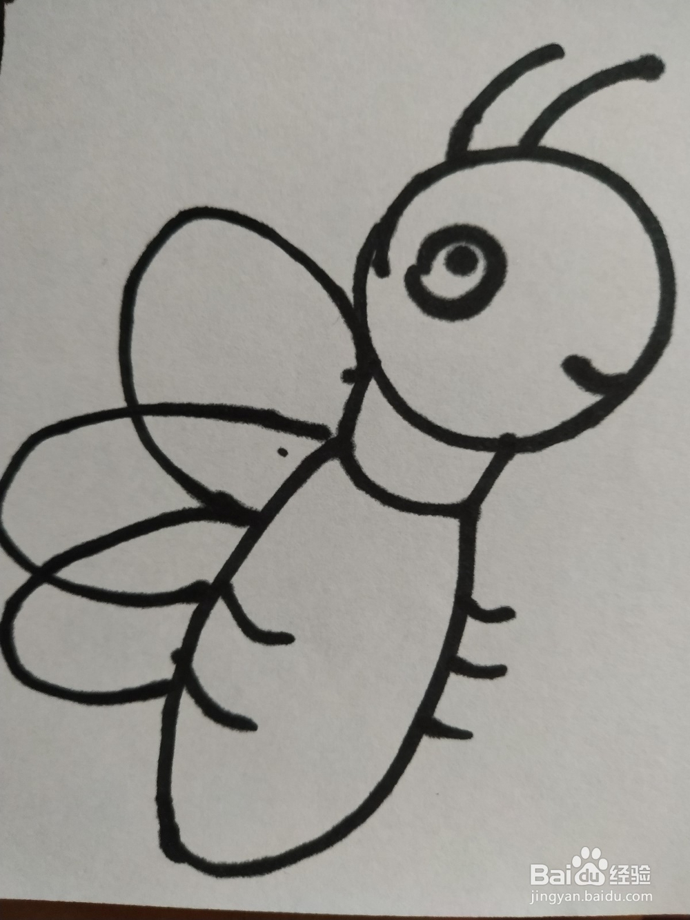 蜜蜂的简笔画技法9