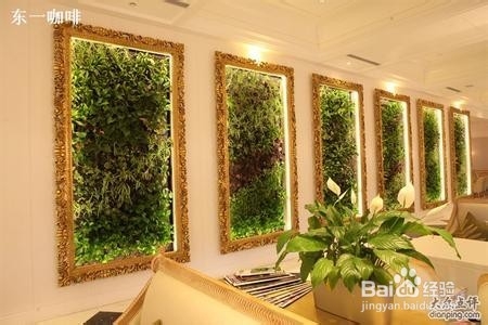 怎样用植物墙装点家居,倡导绿色人居环境