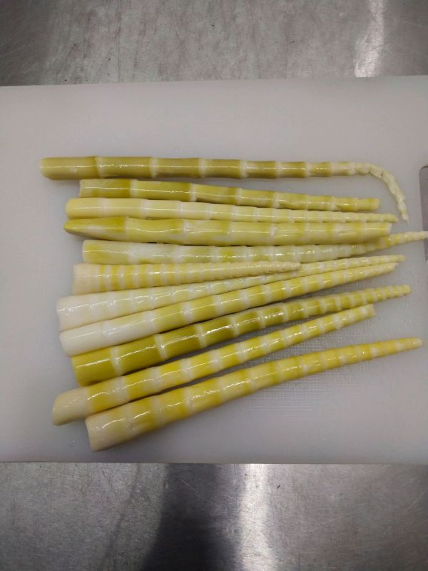 英姿飒爽油焖笋