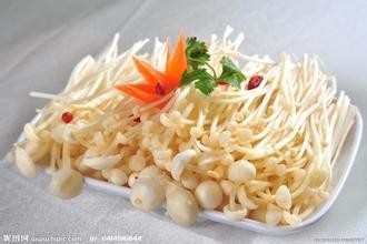 过敏性鼻炎患者吃什么食物好得快
