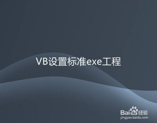 VB设置标准exe工程