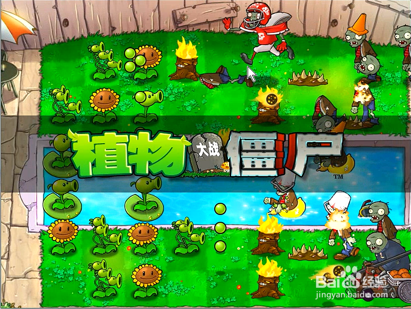 张小6解说 植物大战僵尸中文版第一关通关攻略