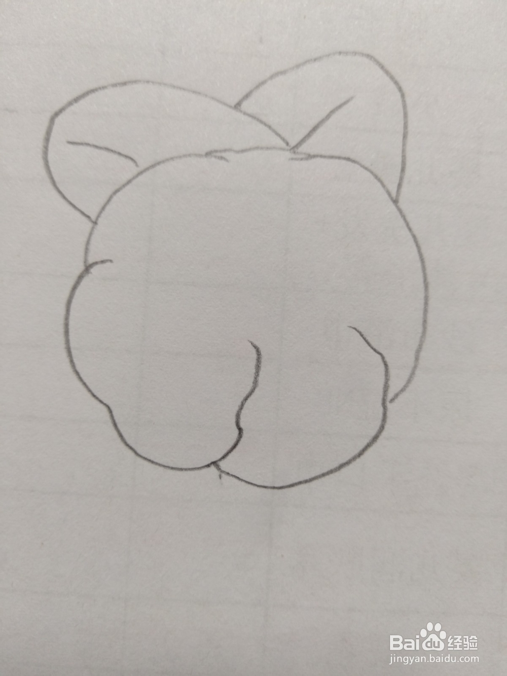 简笔画菜花画法2