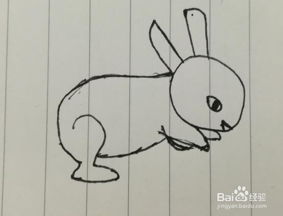 如何画一只小兔