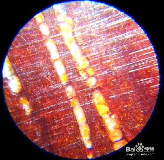 小叶紫檀真假金星鉴定