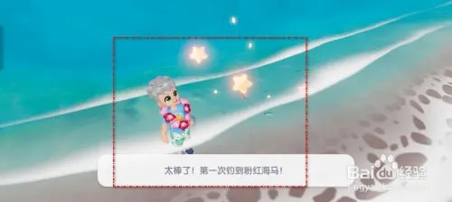 心动小镇在哪里可以钓到粉红海马