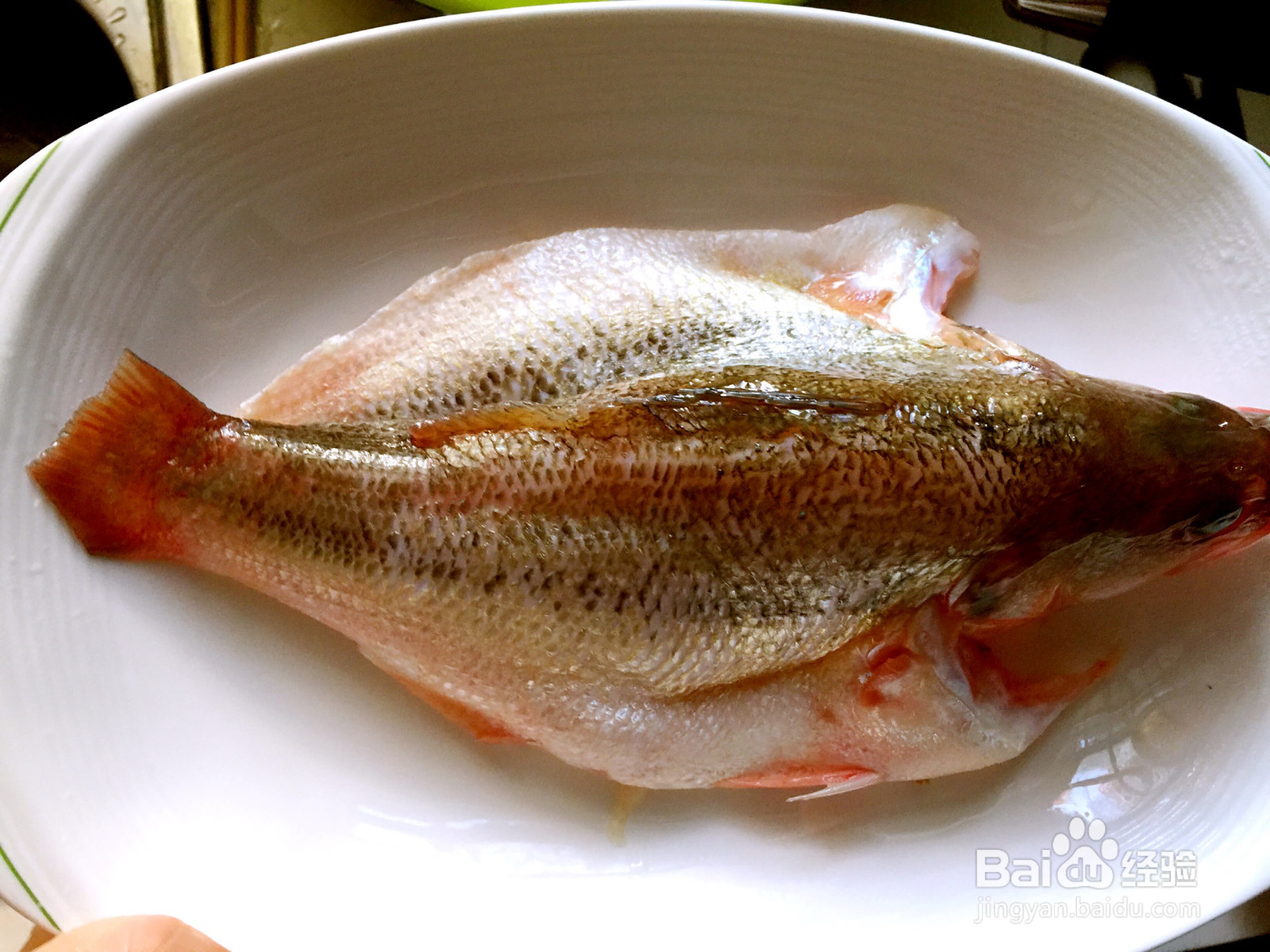 清蒸鲈鱼的做法