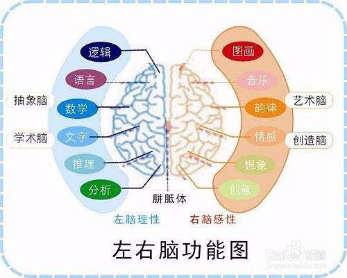 开发孩子的右半脑