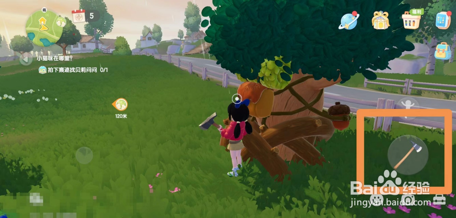 心动小镇8.4日溜溜橡木位置攻略