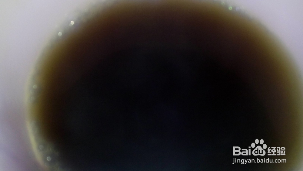 水果咖啡的做法