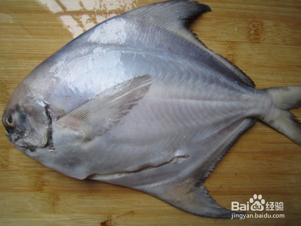 蒸出来的美味-----清蒸鲳鱼