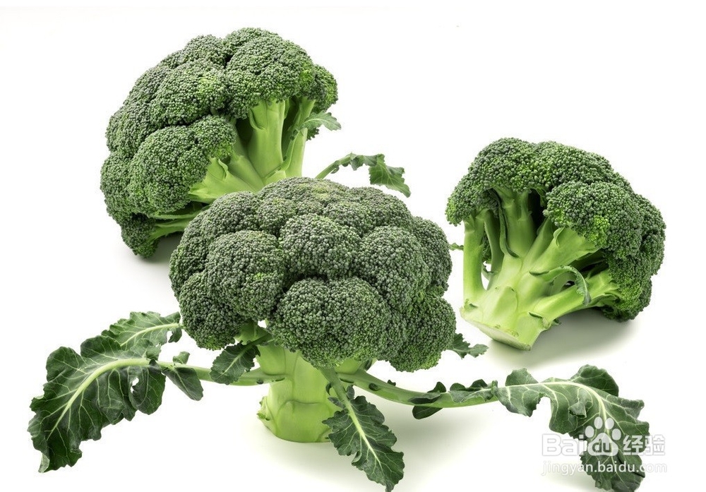 餐饮原材料蔬菜如何分类