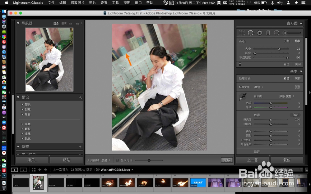 Mac版lightroom classic怎么去除图片的污点