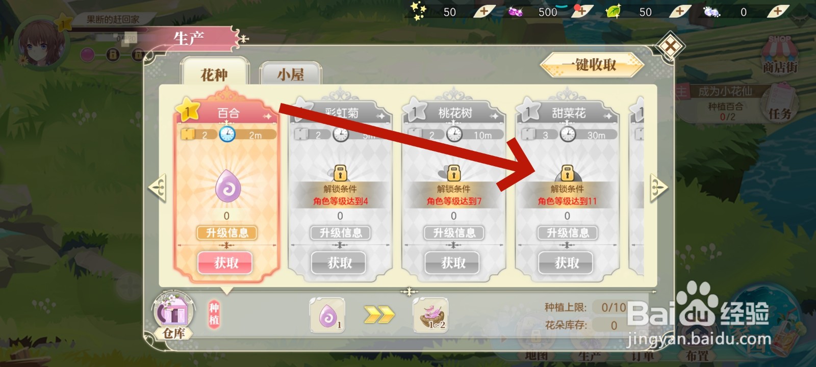 小花仙怎么获取甜菜花种子